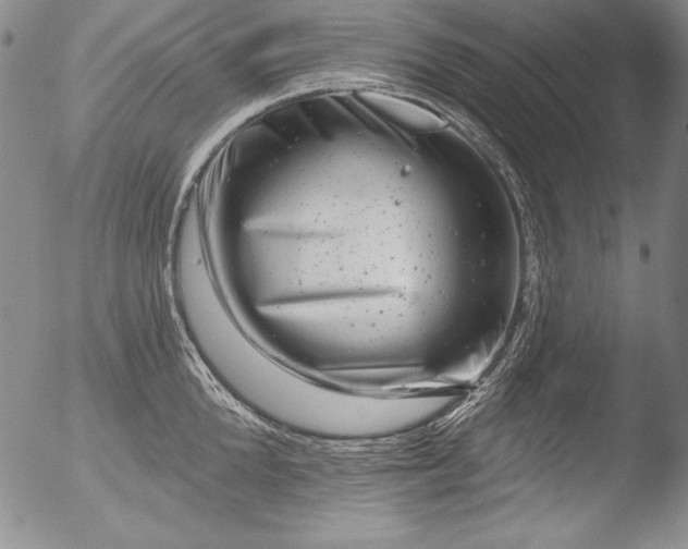 X0000051860904200507081819