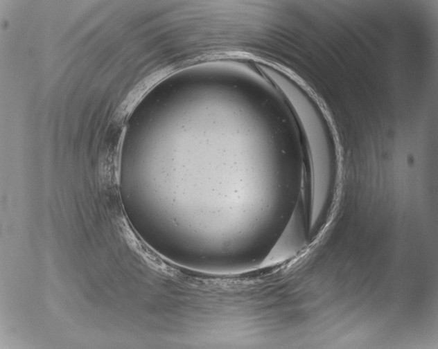 X0000051860905200507081819