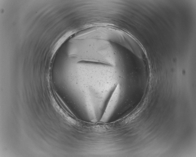 X0000051860906200507081819