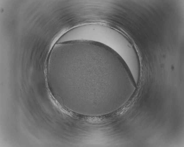 X0000051860907200507081819