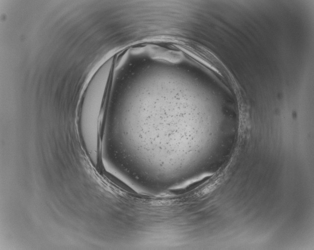 X0000051860908200507081819