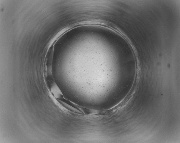 X0000051860909200507081819