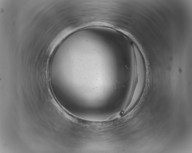 X0000051860910200507081819