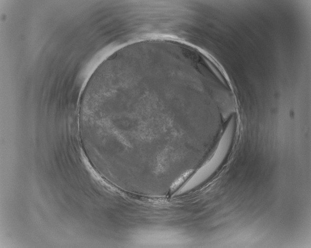 X0000051860911200507081819