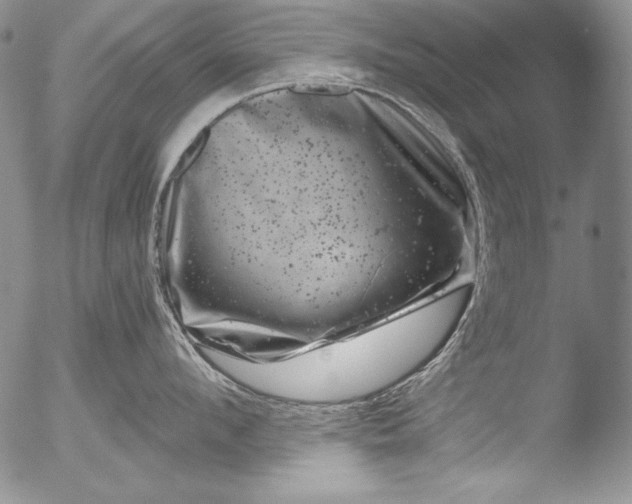 X0000051860912200507081819