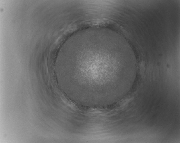 X0000051860913200507081818