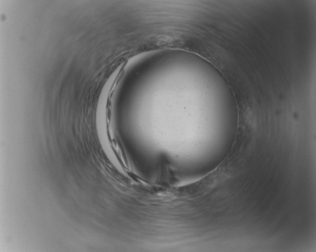 X0000051860914200507081818