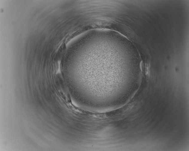 X0000051860915200507081818