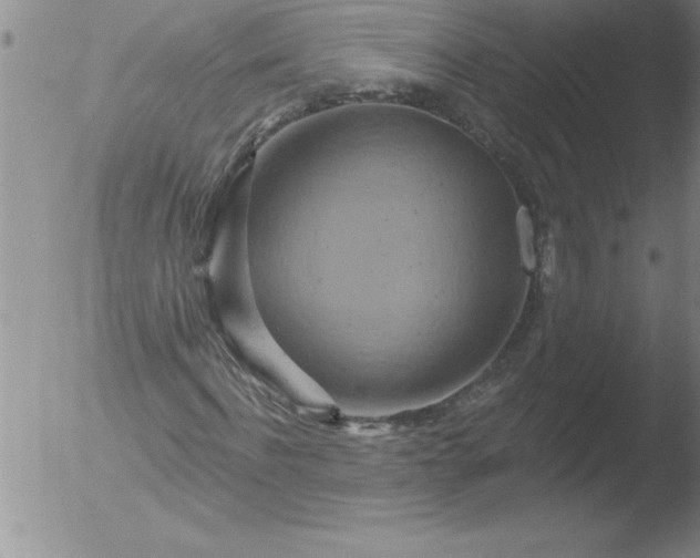 X0000051860916200507081818