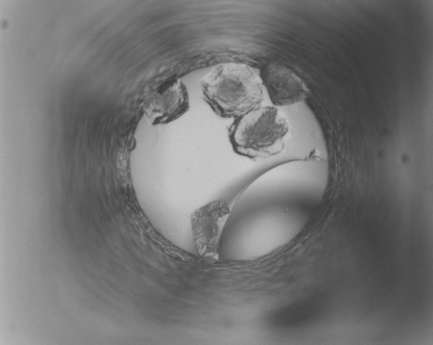 X0000051860917200507081818