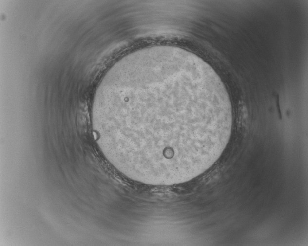 X0000051860918200507081819