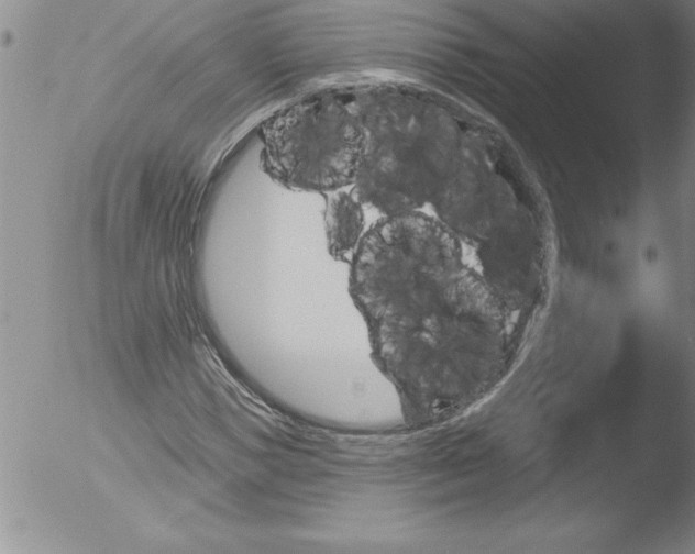 X0000051860921200507081819