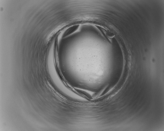 X0000051860922200507081819