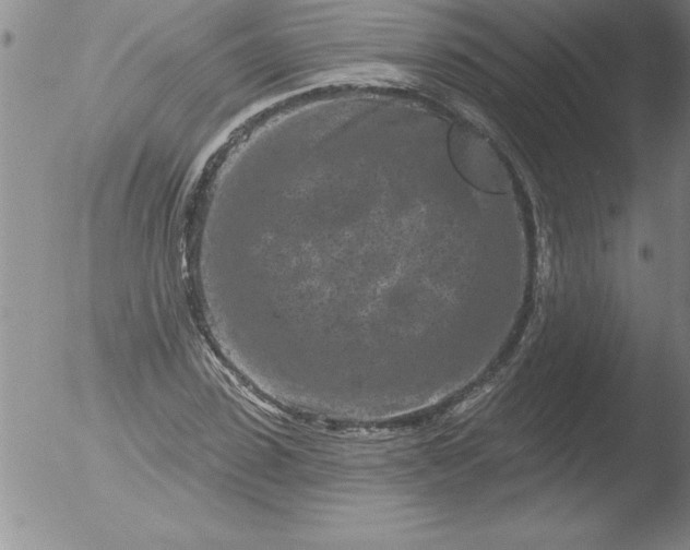 X0000051860923200507081819