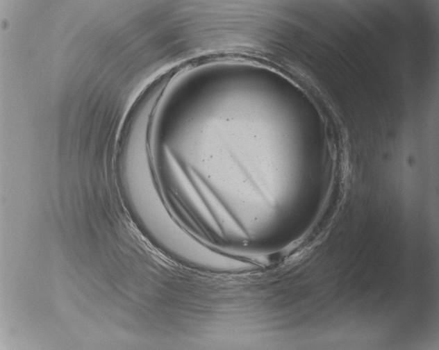 X0000051860924200507081819