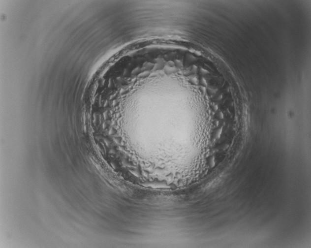 X0000051860925200507081819