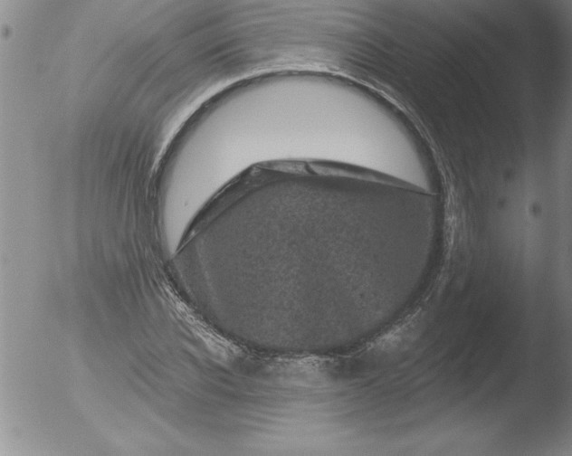 X0000051860926200507081819