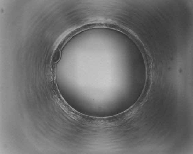 X0000051860927200507081819