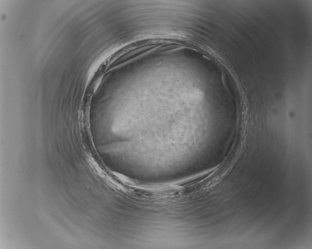 X0000051860928200507081819