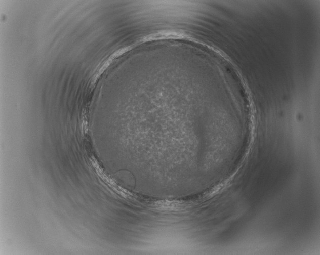 X0000051860929200507081819