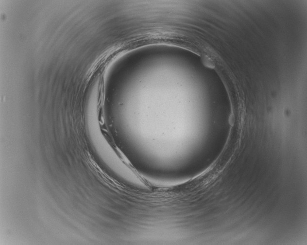 X0000051860930200507081819