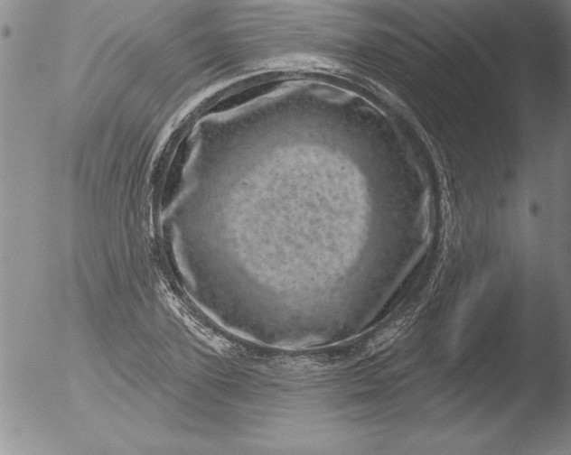 X0000051860931200507081819