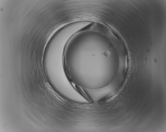 X0000051860932200507081819