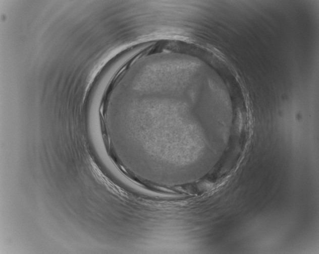 X0000051860934200507081819