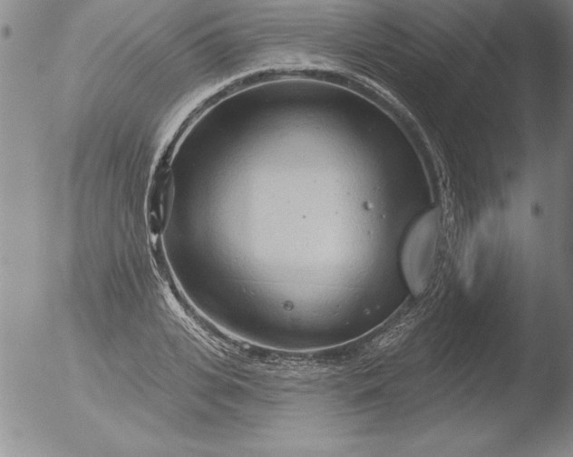 X0000051860935200507081819