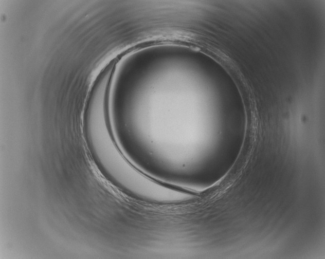 X0000051860936200507081819