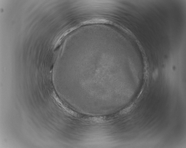 X0000051860937200507081819