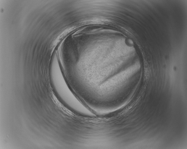 X0000051860938200507081819