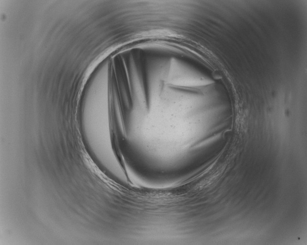 X0000051860939200507081819