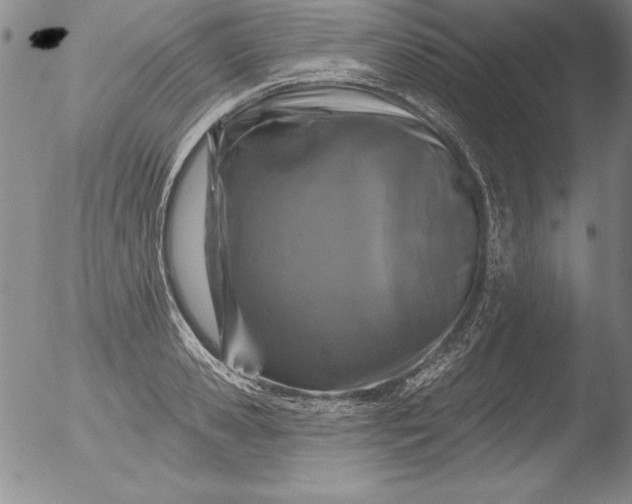 X0000051860941200507081819