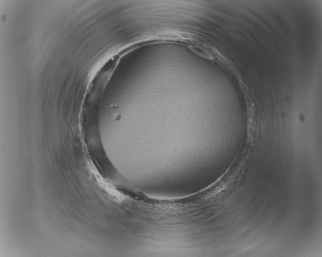 X0000051860944200507081819