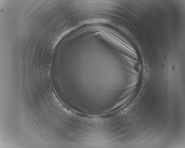 X0000051860945200507081819