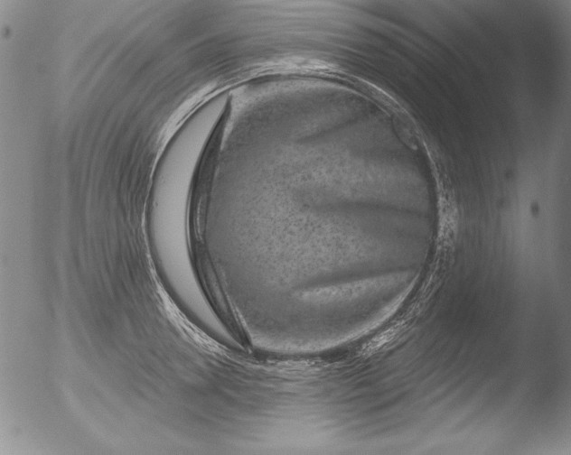 X0000051860946200507081819