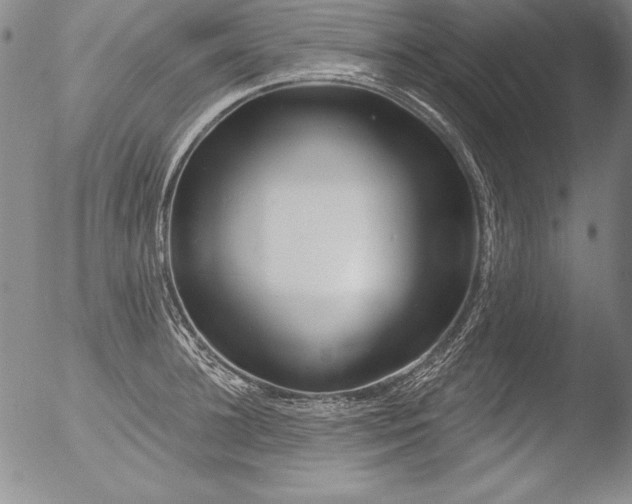 X0000051860948200507081819