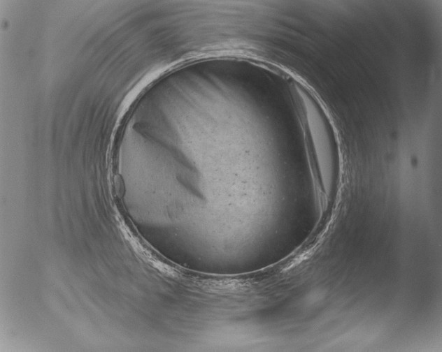 X0000051860949200507081819