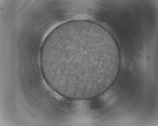 X0000051860950200507081819