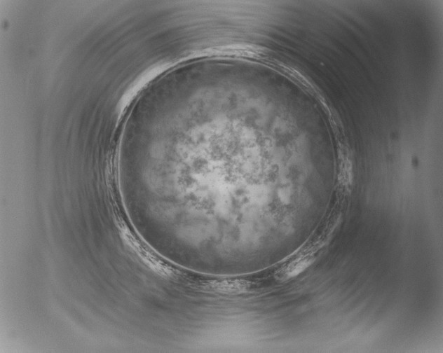 X0000051860952200507081819