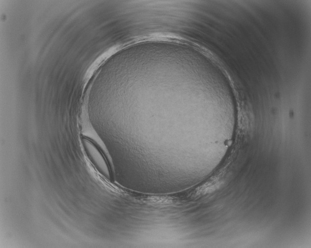 X0000051860954200507081819