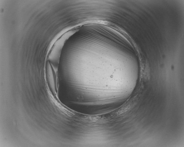 X0000051860955200507081819