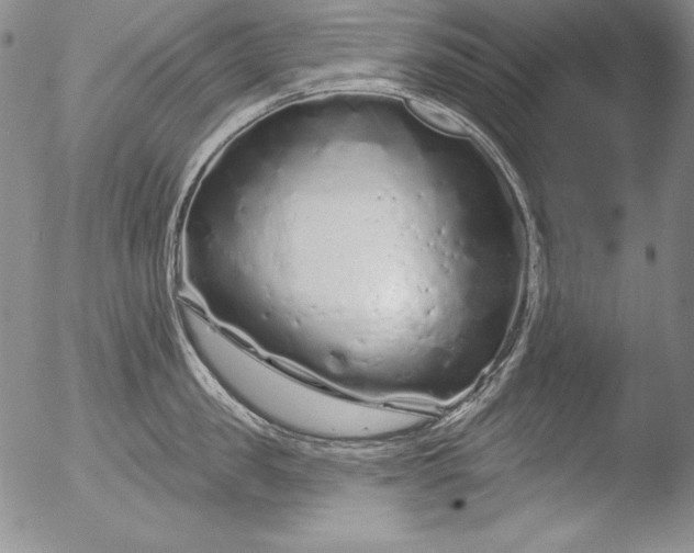 X0000051860957200507081819