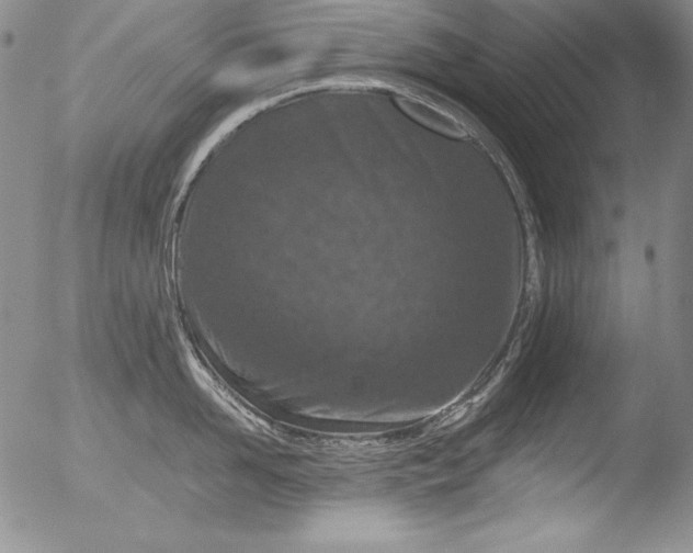 X0000051860958200507081819