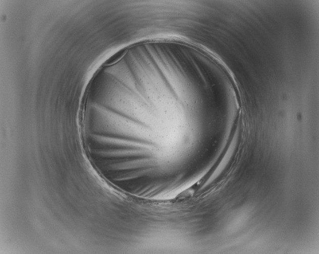 X0000051860959200507081819