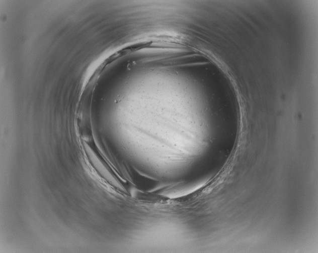 X0000051860960200507081819