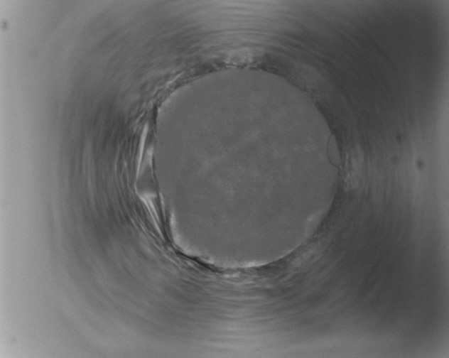 X0000051860962200507081818