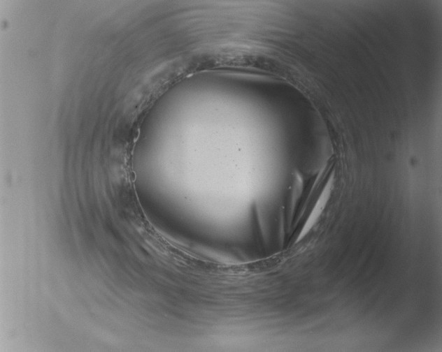 X0000051860964200507081818