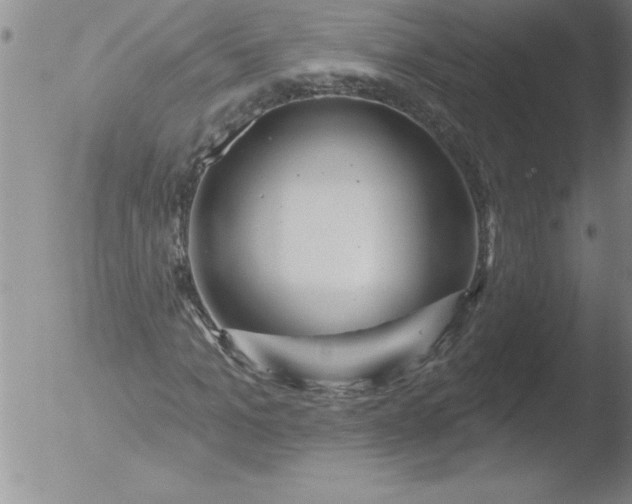 X0000051860965200507081818